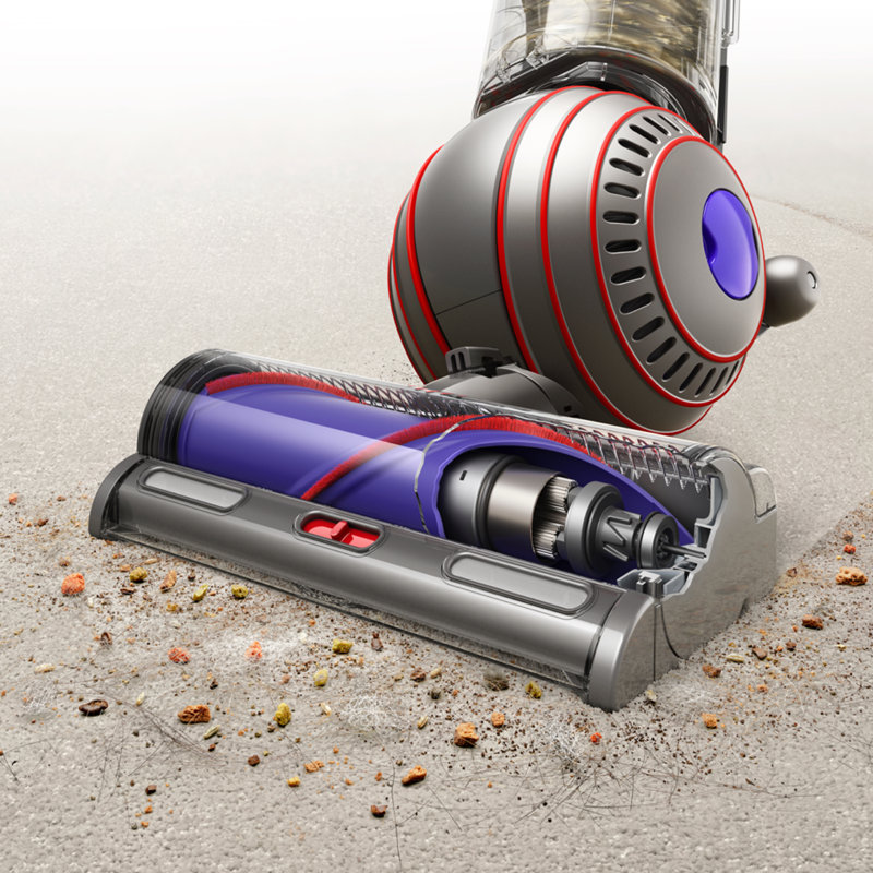 Dyson Ball Animal 3 Upright Vacuum & Reviews | Wayfair
